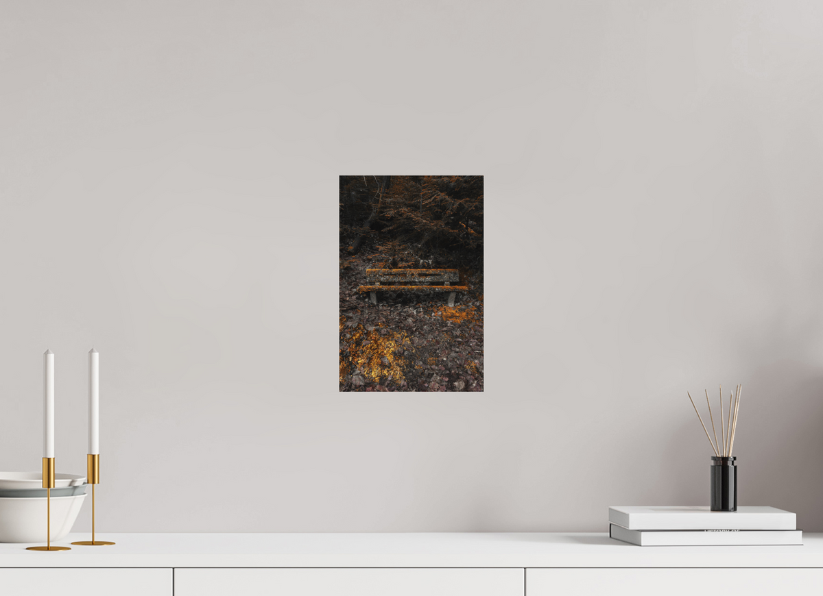 20 x 30 cm, Poster Fuji Crystal DP II mat Le banc moussu