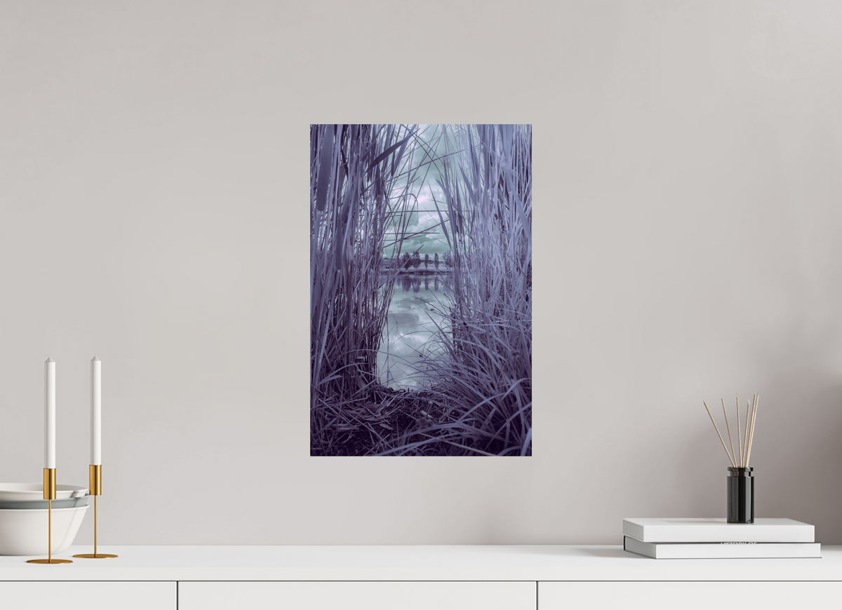 30 x 45 cm, Poster Fuji Crystal Pearl metallise Les roseaux violets