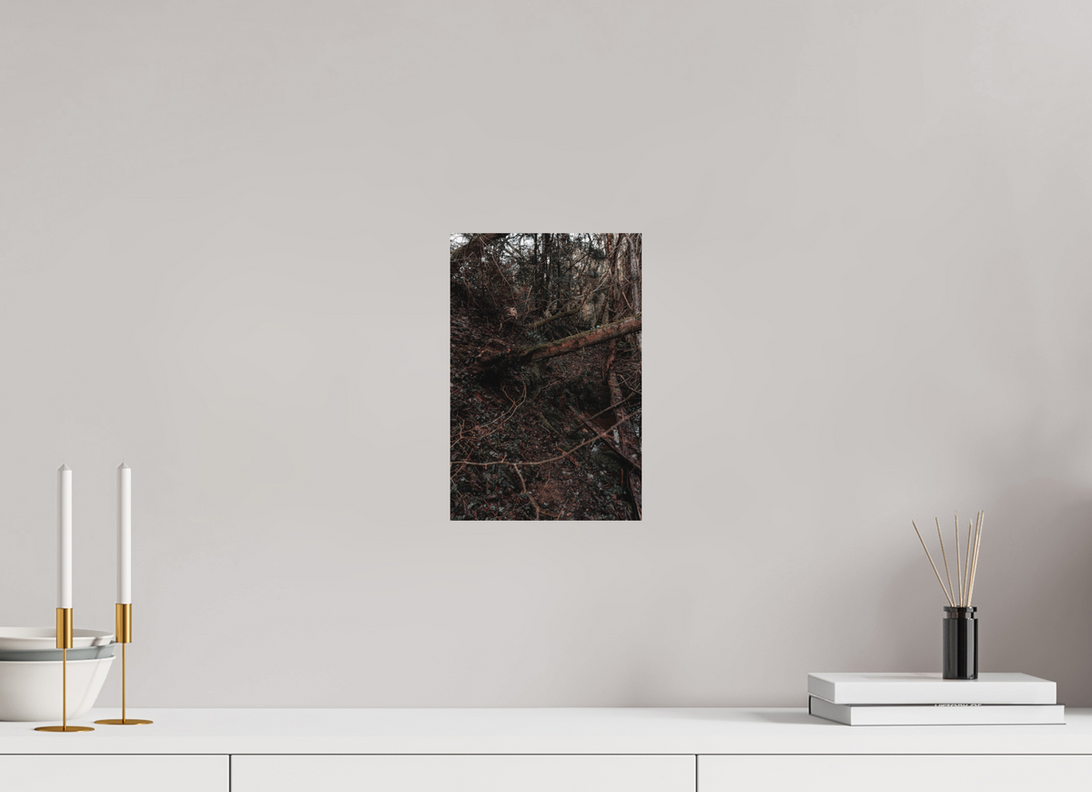 20 x 30 cm, Poster Fuji Crystal DP II mat Le bois tombé