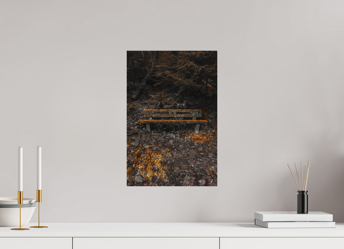 30 x 45 cm, Poster Fuji Crystal DP II mat Le banc moussu