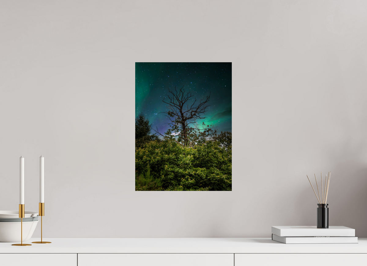 30 x 40 cm, Poster Fuji Crystal Pearl metallise L'arbre aux aurores