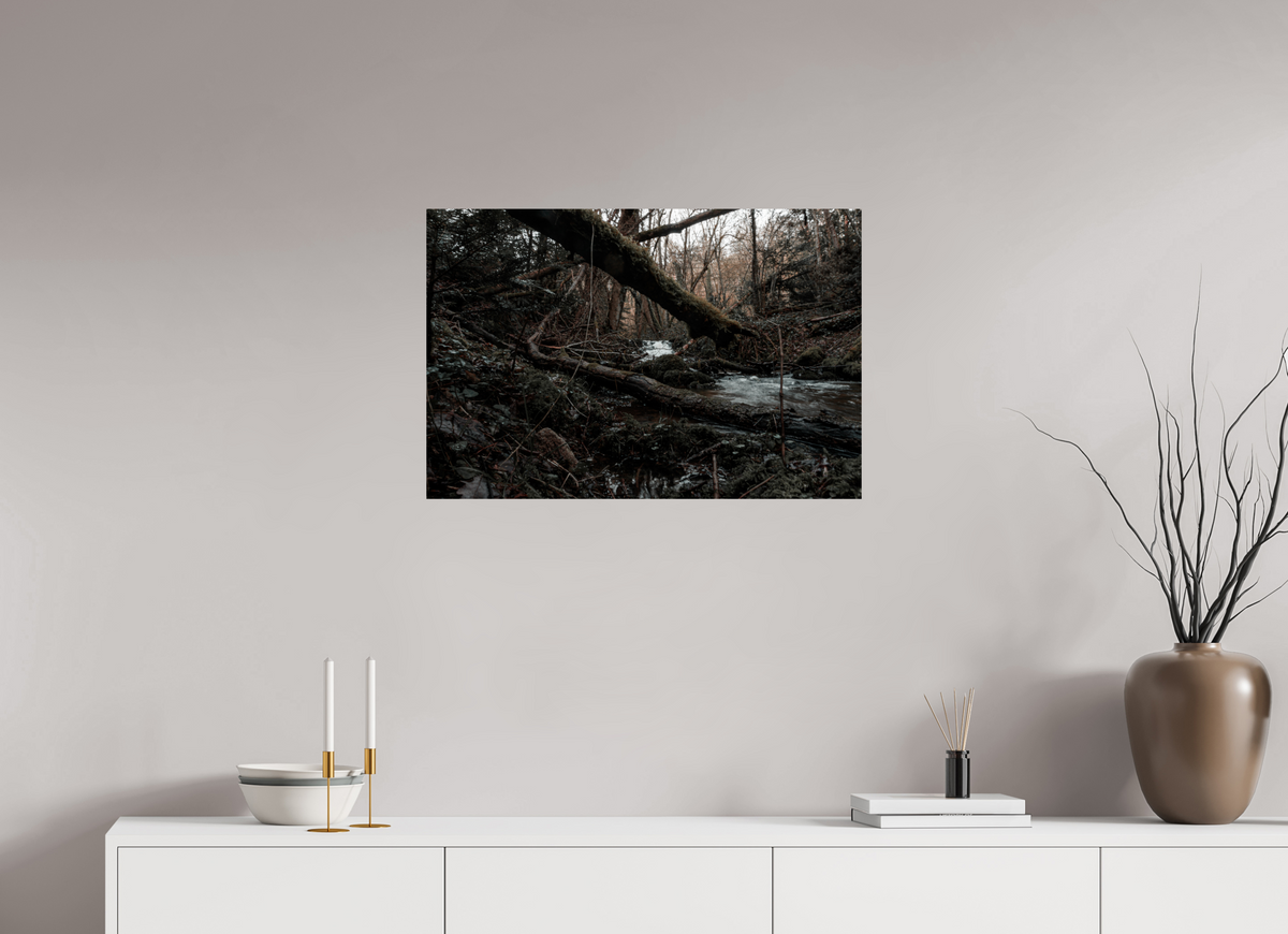 75 x 50 cm, Poster Fuji Crystal Pearl metallise Le tronc couché