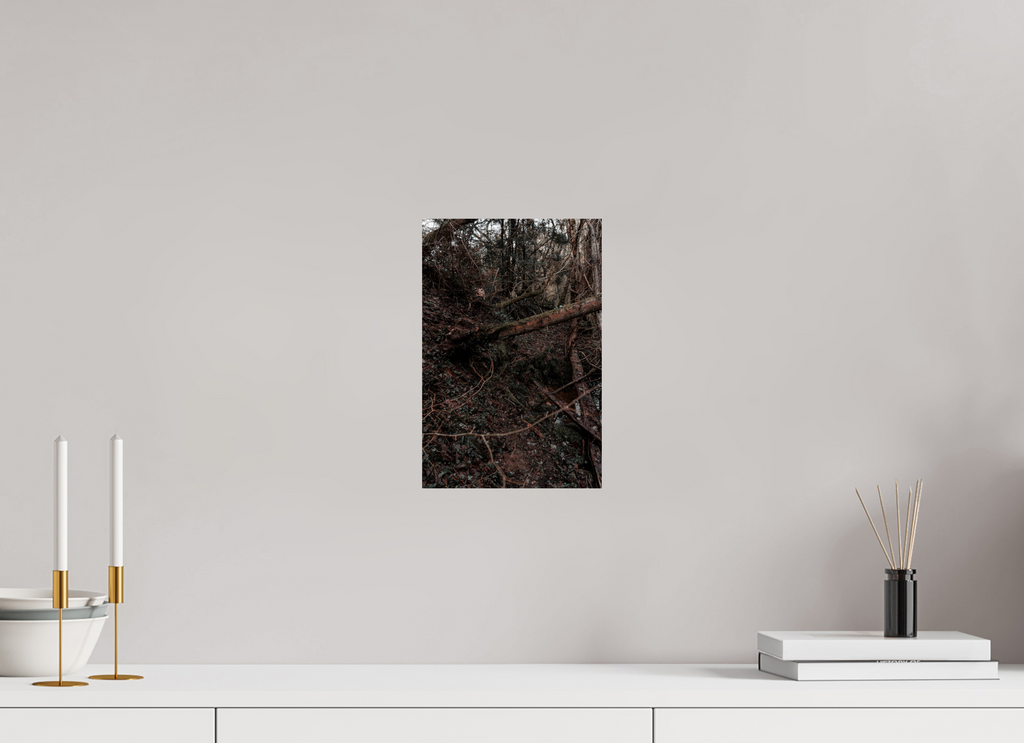 20 x 30 cm, Poster Fuji Crystal Pearl metallise Le bois tombé