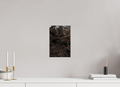 20 x 30 cm, Poster Fuji Crystal Pearl metallise Le bois tombé