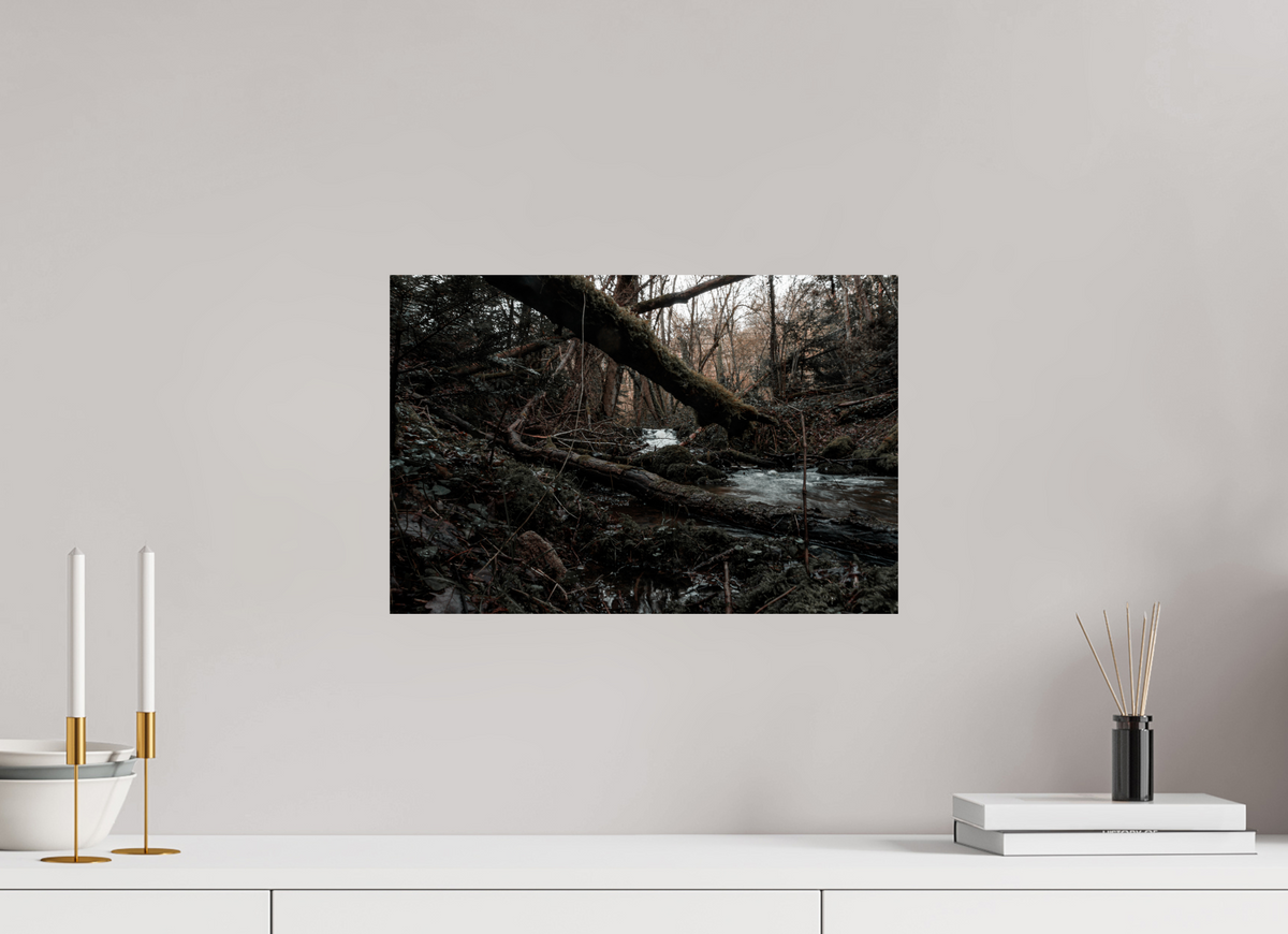 45 x 30 cm, Poster Fuji Crystal Pearl metallise Le tronc couché