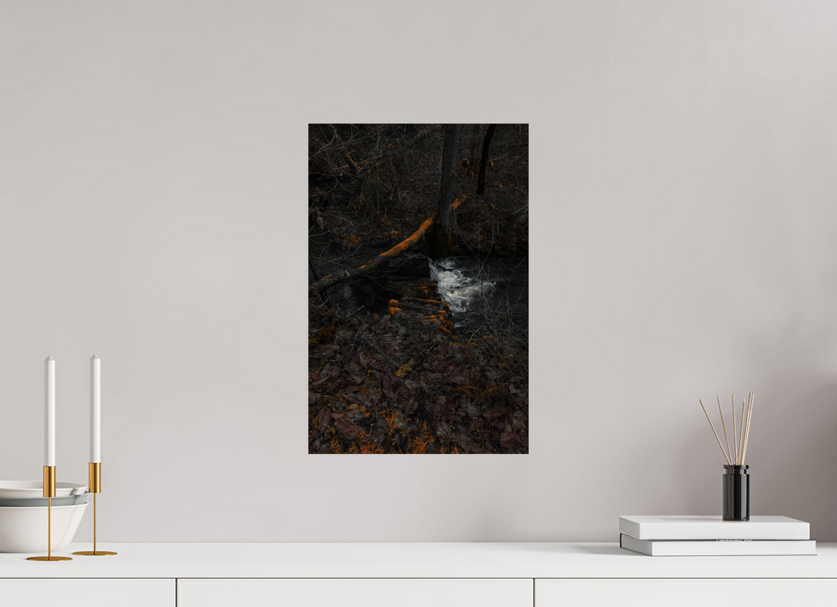 30 x 45 cm, Poster Fuji Crystal Pearl metallise La source sous les branches