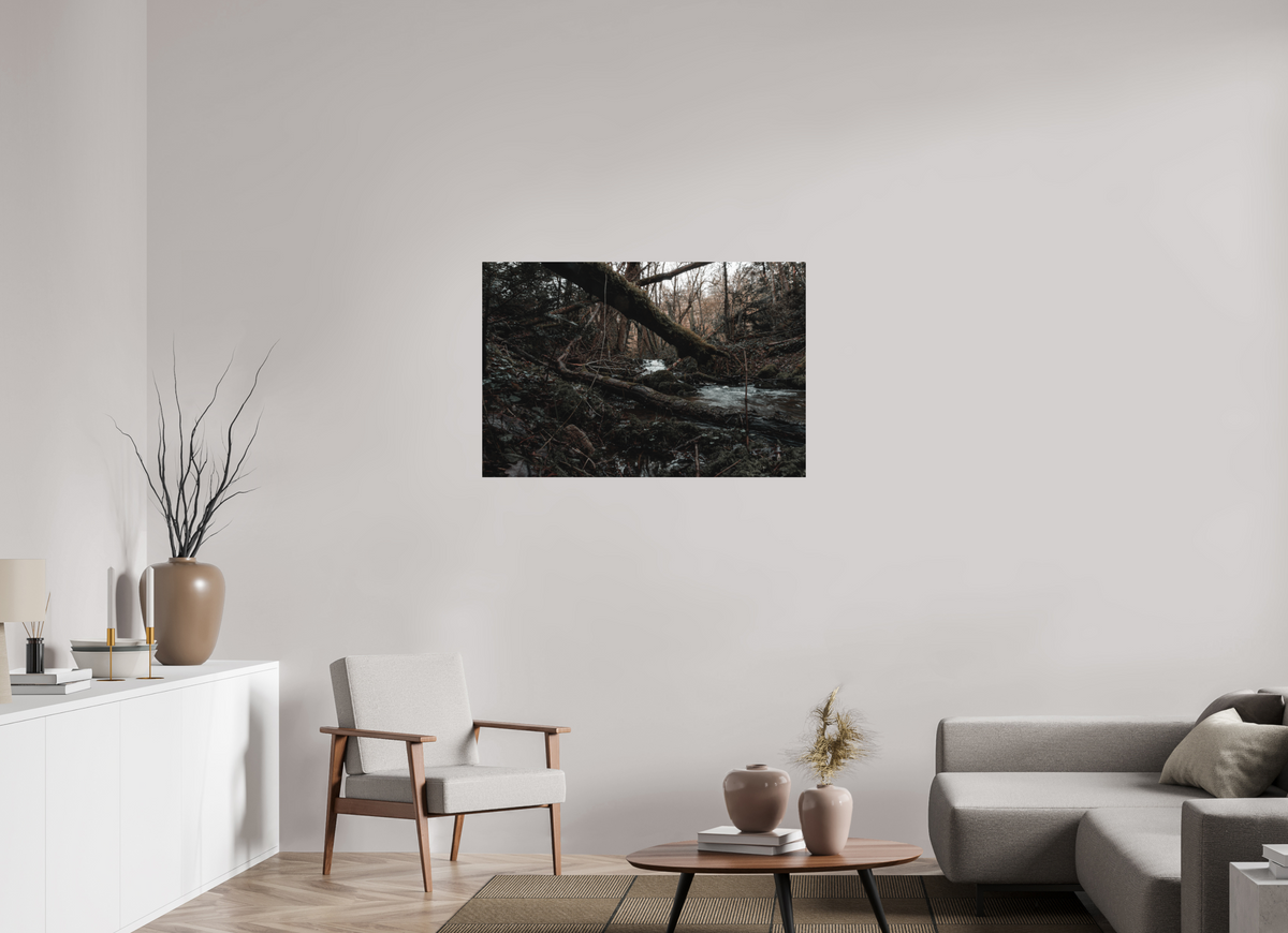 105 x 70 cm, Poster Fuji Crystal DP II mat Le tronc couché