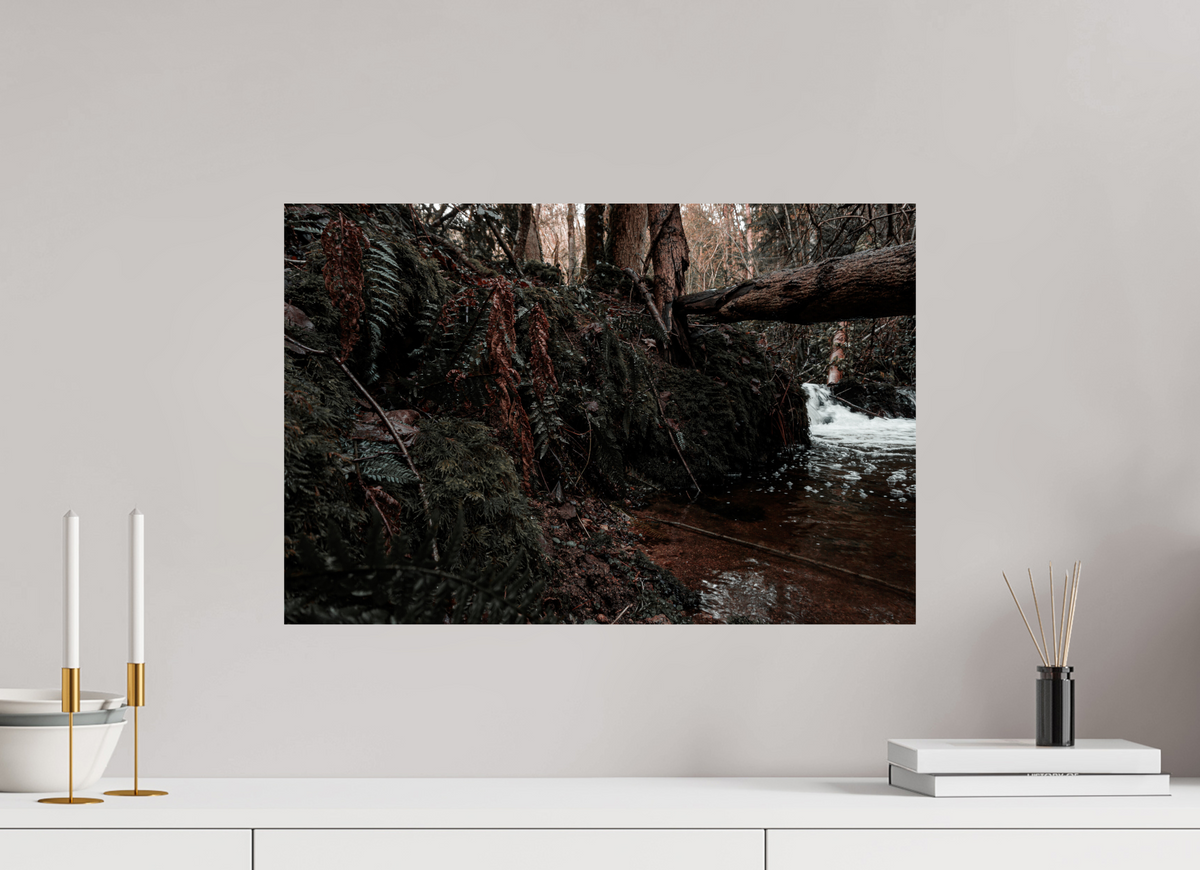 60 x 40 cm, Poster Fuji Crystal Pearl metallise La chute derrière la souche
