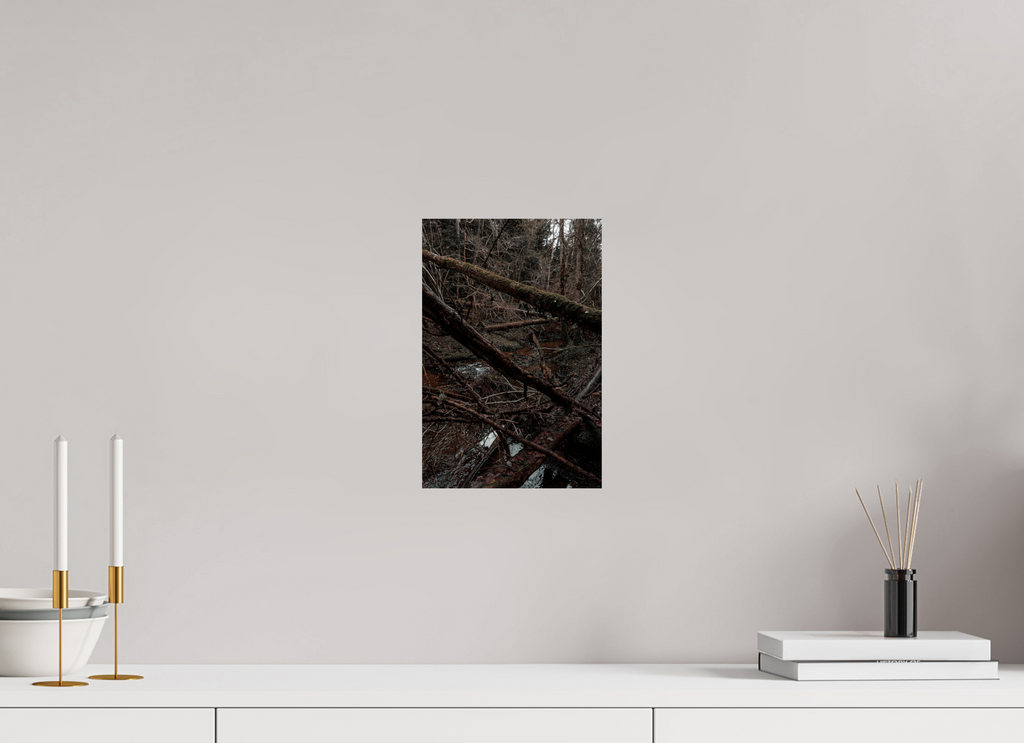 20 x 30 cm, Poster Fuji Crystal Pearl metallise L'enchevêtrement