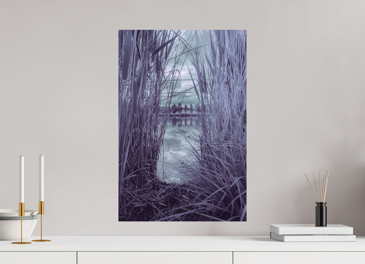 40 x 60 cm, Poster Fuji Crystal DP II mat Les roseaux violets