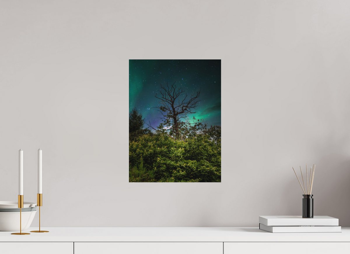 30 x 40 cm, Poster Fuji Crystal DP II mat L'arbre aux aurores