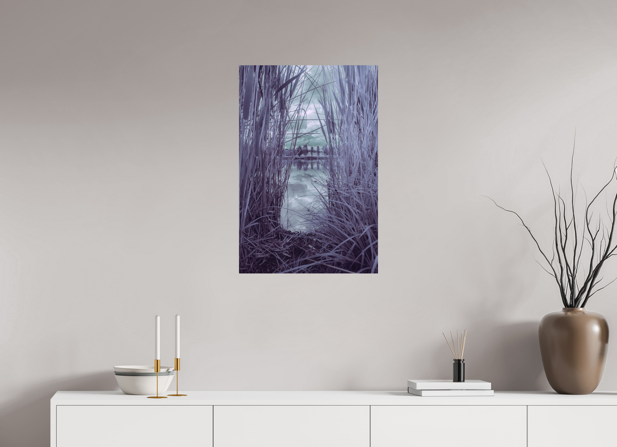 50 x 75 cm, Poster Fuji Crystal DP II mat Les roseaux violets