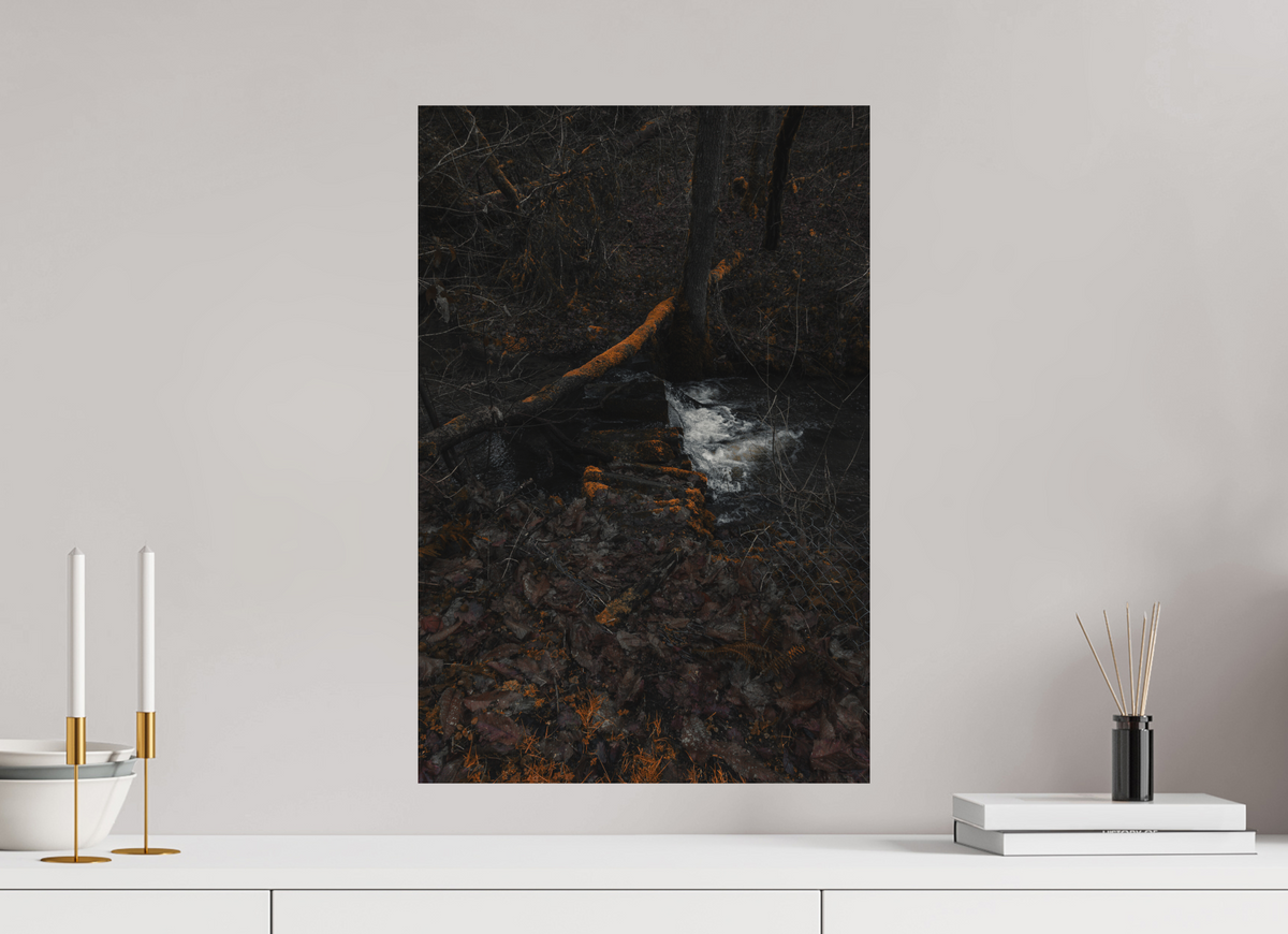 40 x 60 cm, Poster Fuji Crystal DP II mat La source sous les branches