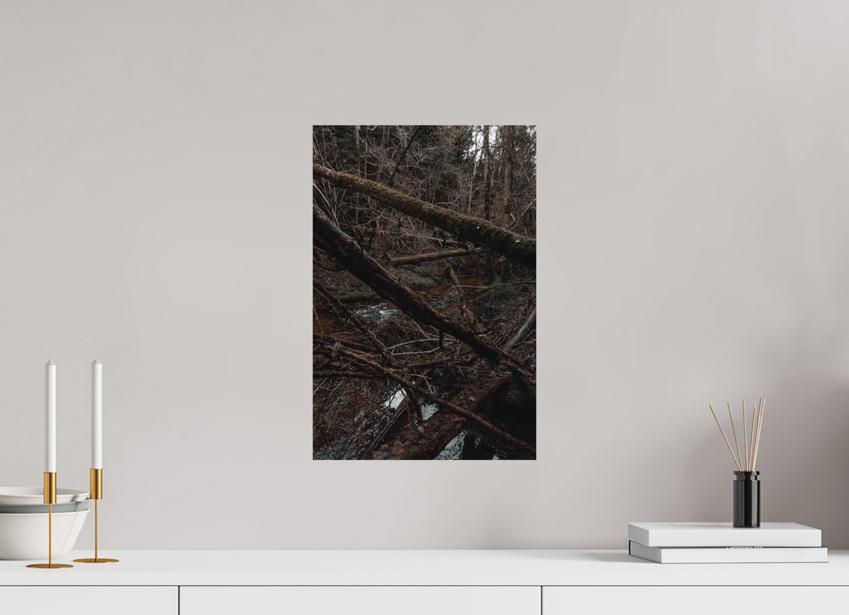 30 x 45 cm, Poster Fuji Crystal DP II mat L'enchevêtrement