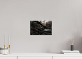 30 x 20 cm, Poster Fuji Crystal Pearl metallise Le tronc couché