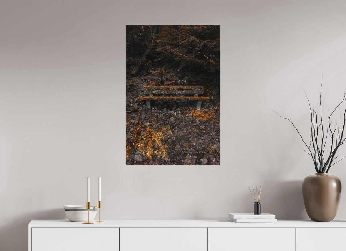 60 x 90 cm, Poster Fuji Crystal DP II mat Le banc moussu