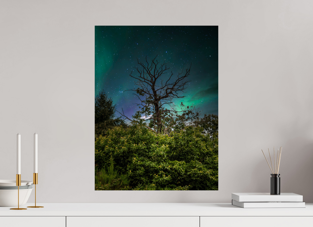 45 x 60 cm, Poster Fuji Crystal Pearl metallise L'arbre aux aurores