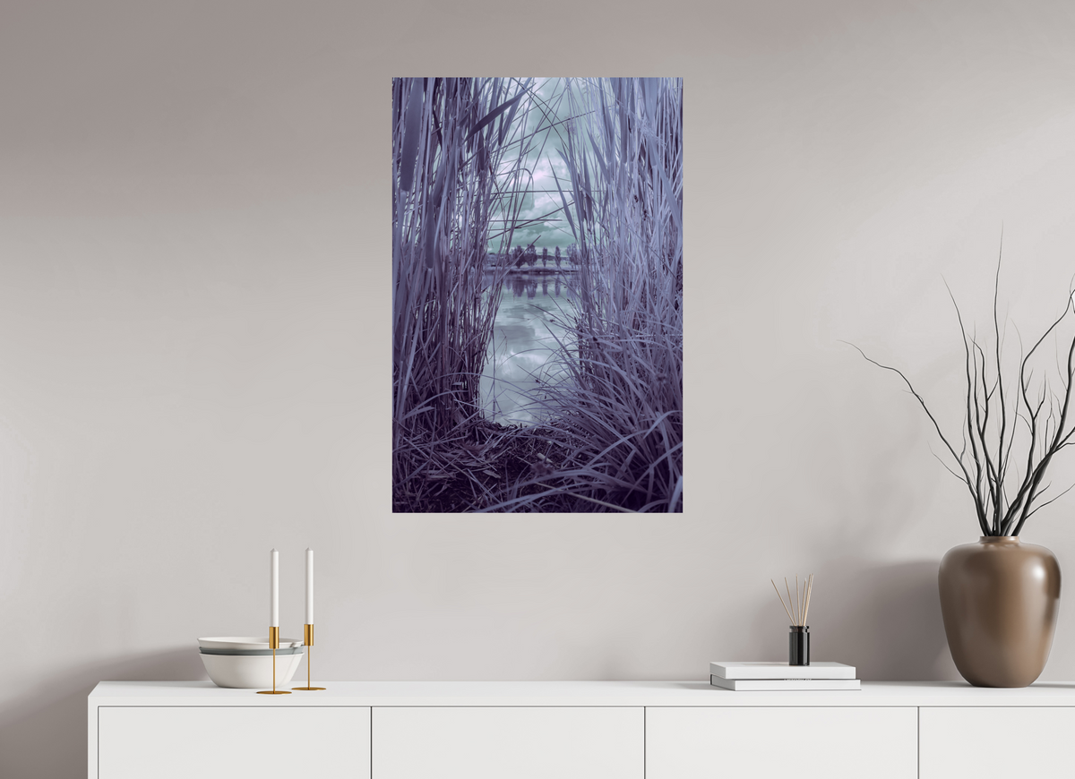 60 x 90 cm, Poster Fuji Crystal Pearl metallise Les roseaux violets