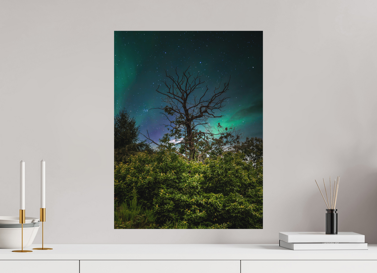 45 x 60 cm, Poster Fuji Crystal DP II mat L'arbre aux aurores
