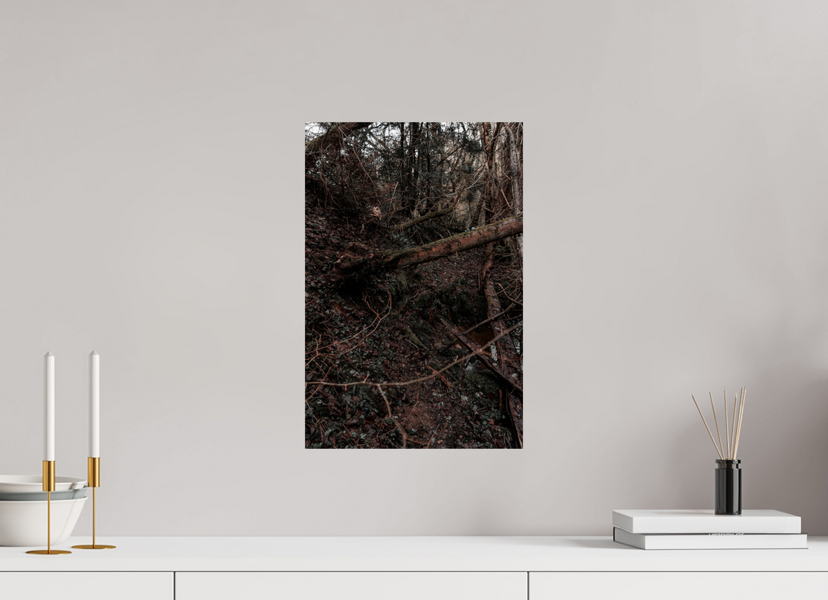 30 x 45 cm, Poster Fuji Crystal Pearl metallise Le bois tombé