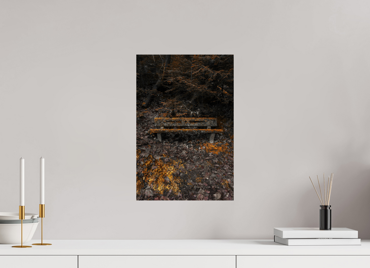 30 x 45 cm, Poster Fuji Crystal Pearl metallise Le banc moussu