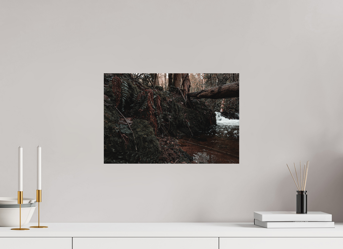 45 x 30 cm, Poster Fuji Crystal DP II mat La chute derrière la souche