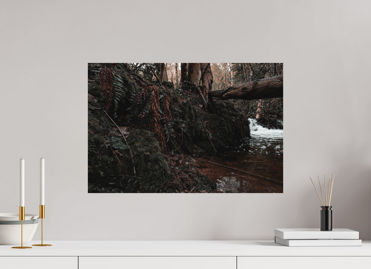 60 x 40 cm, Poster Fuji Crystal DP II mat La chute derrière la souche