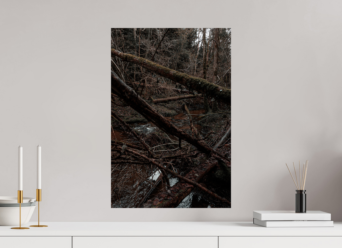 40 x 60 cm, Poster Fuji Crystal Pearl metallise L'enchevêtrement