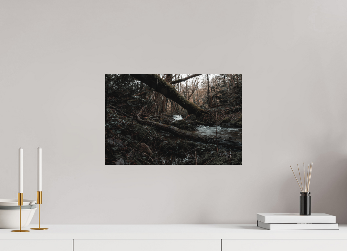 45 x 30 cm, Poster Fuji Crystal DP II mat Le tronc couché
