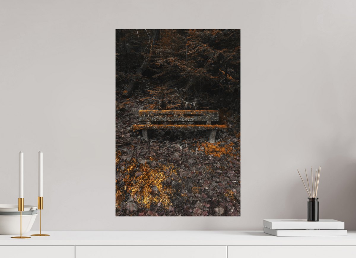 40 x 60 cm, Poster Fuji Crystal DP II mat Le banc moussu