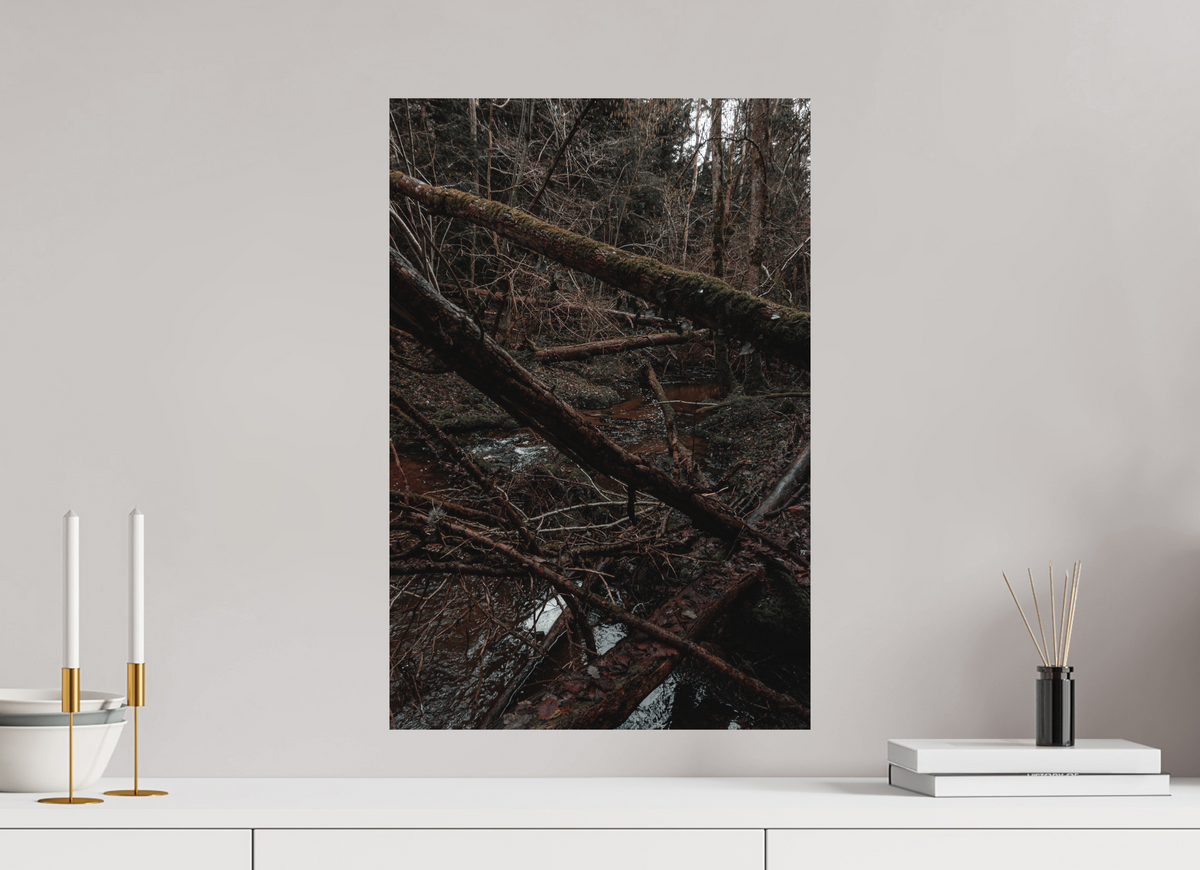 40 x 60 cm, Poster Fuji Crystal DP II mat L'enchevêtrement
