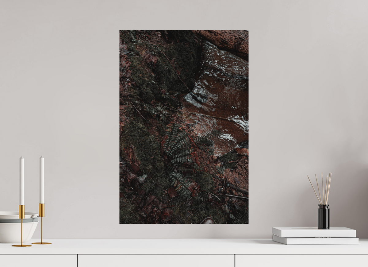 40 x 60 cm, Poster Fuji Crystal DP II mat La fougère et l'eau rousse