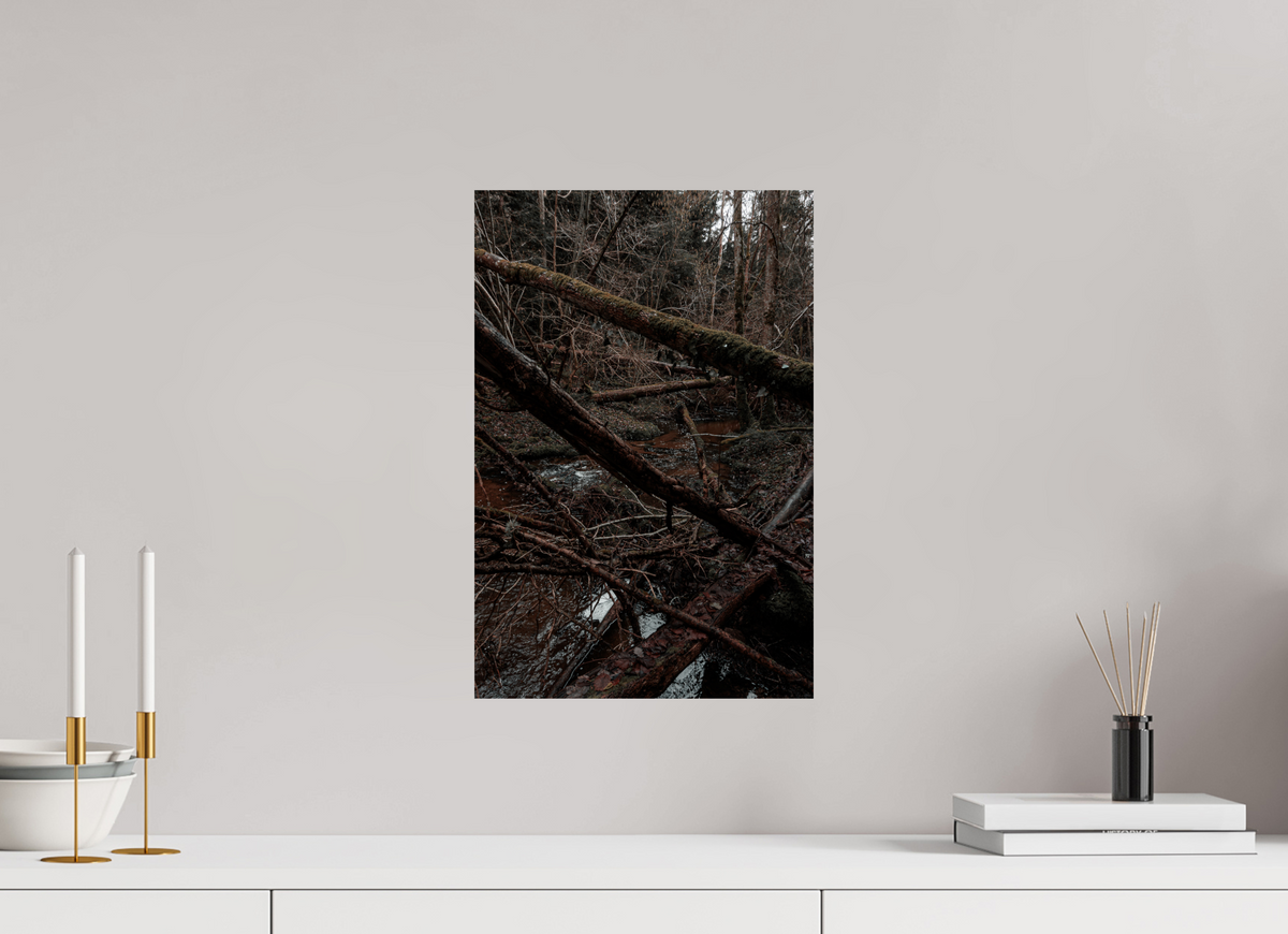 30 x 45 cm, Poster Fuji Crystal Pearl metallise L'enchevêtrement