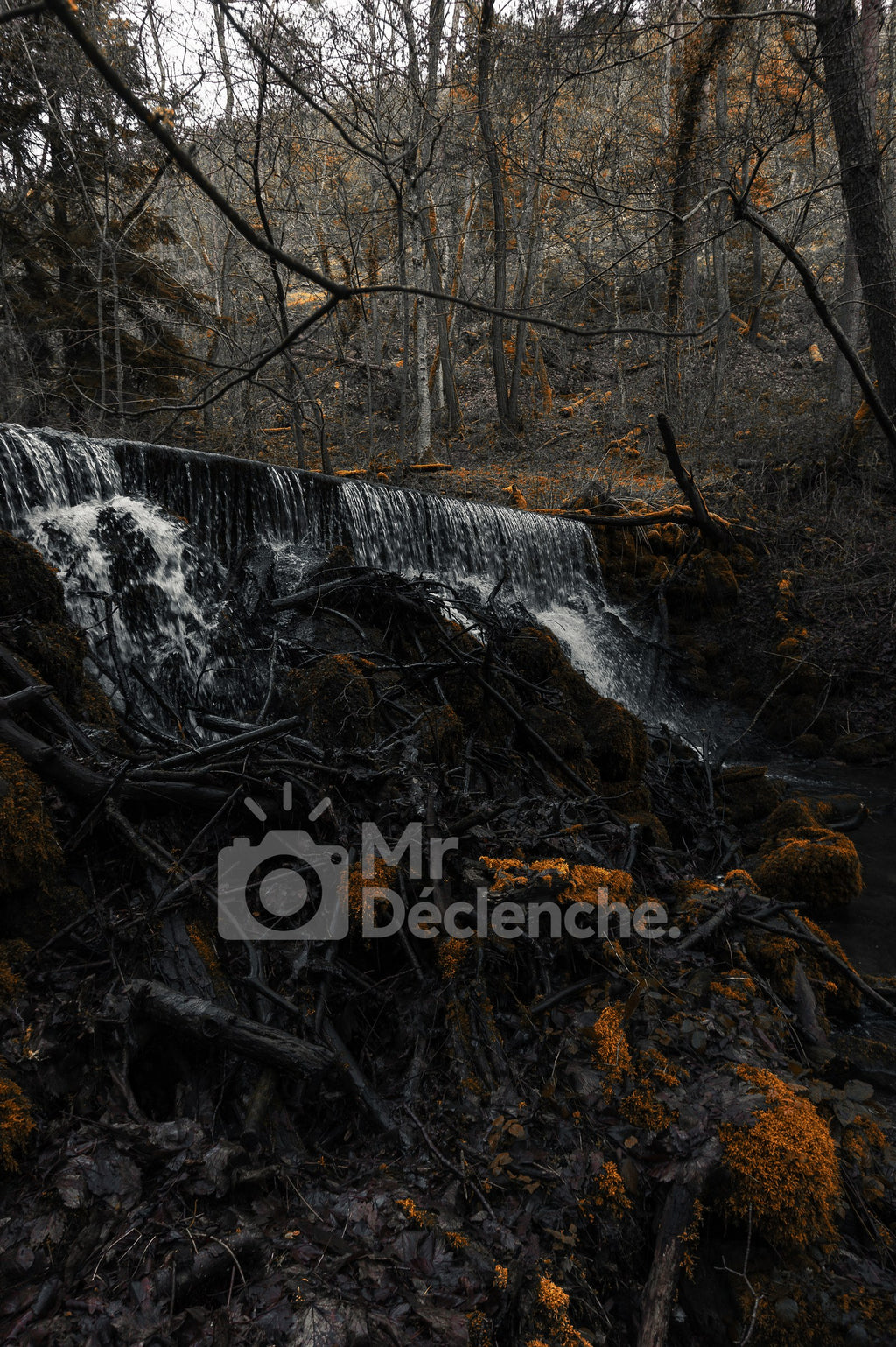 La cascade et le bois mort – photographie MrDéclenche.