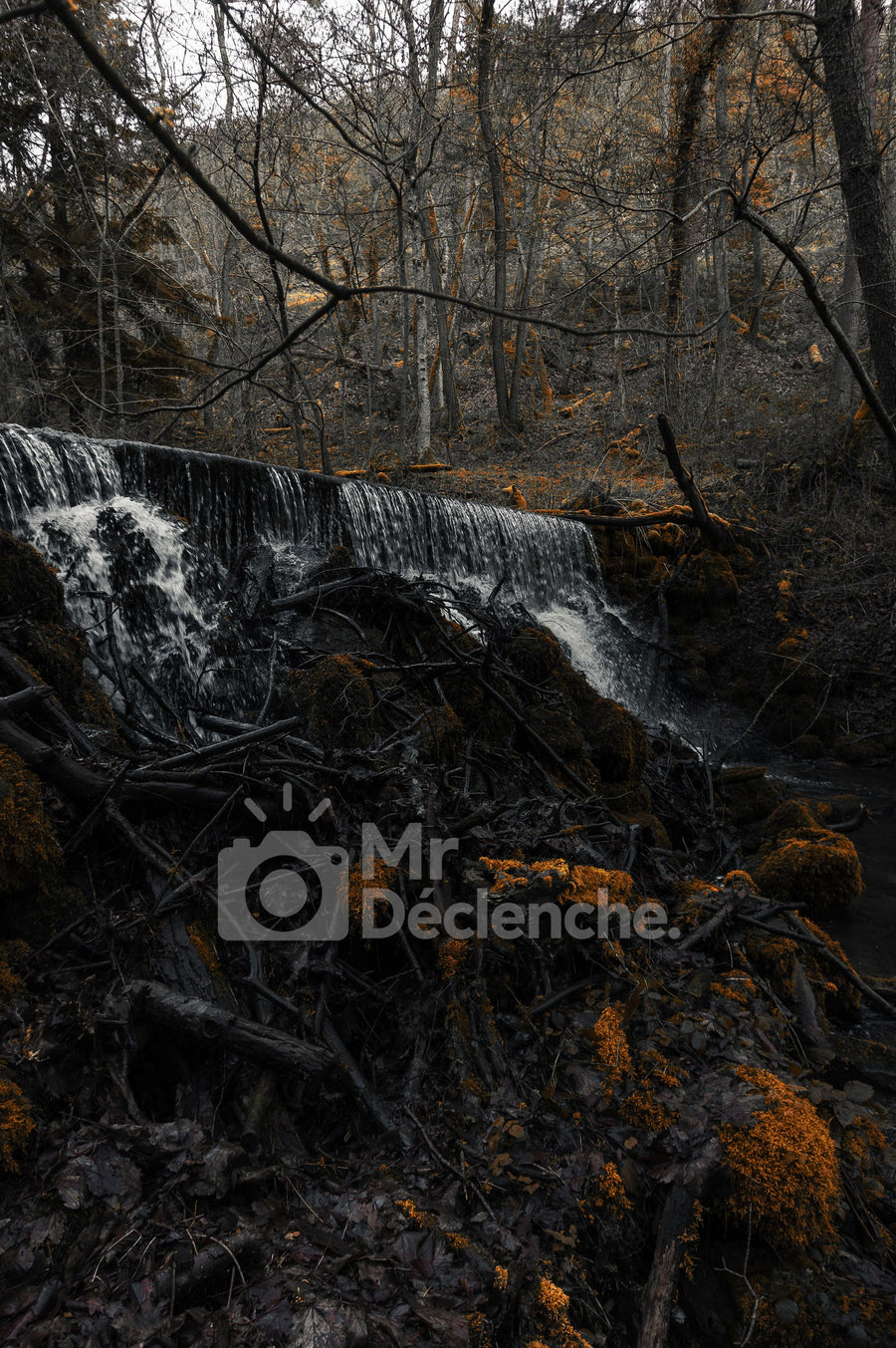 The waterfall and the deadwood on Alu Dibond