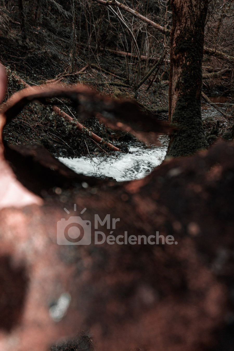 La cascade dans l'écorce sur Alu Dibond