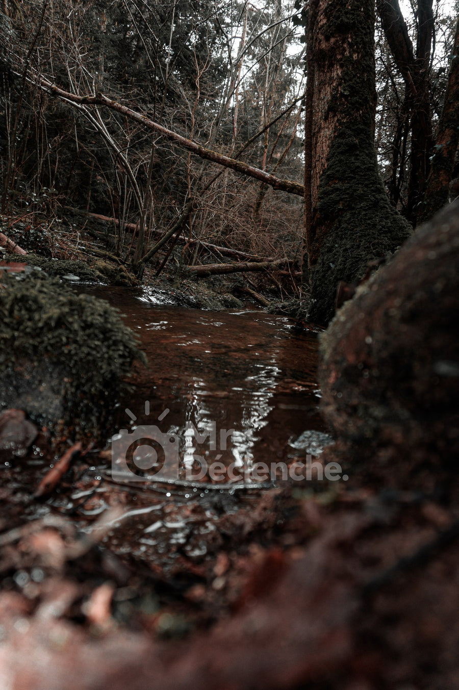 The hidden stream on Alu Dibond