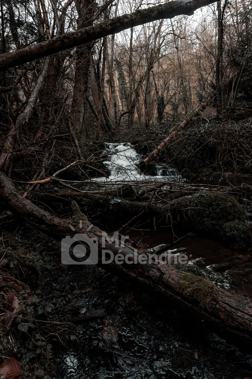La cascade au loin – photographie MrDéclenche.