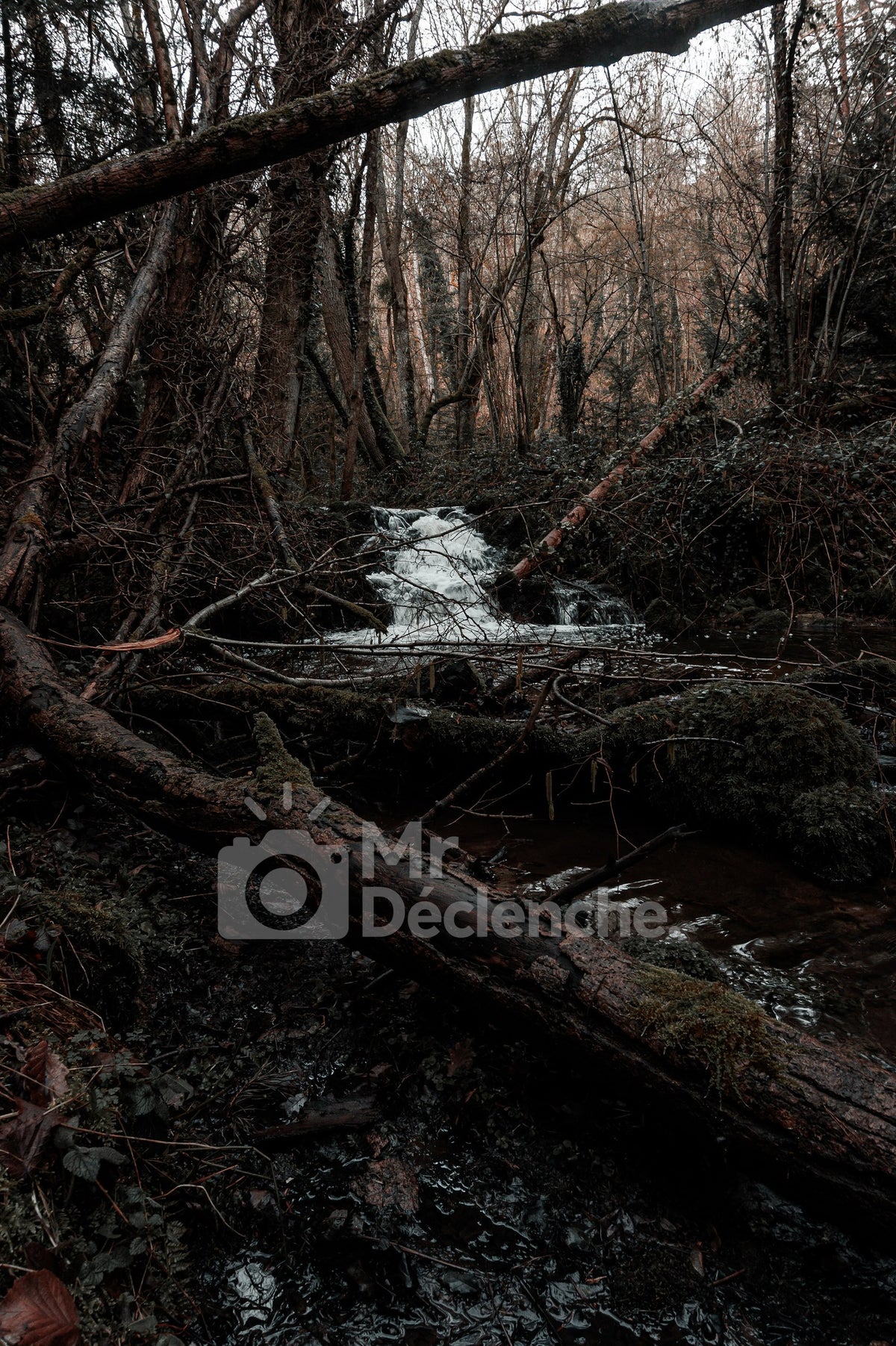 La cascade au loin – photographie MrDéclenche.