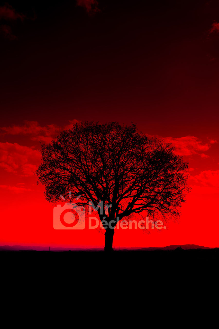 Red Dawn, Auvergne Version on Alu Dibond