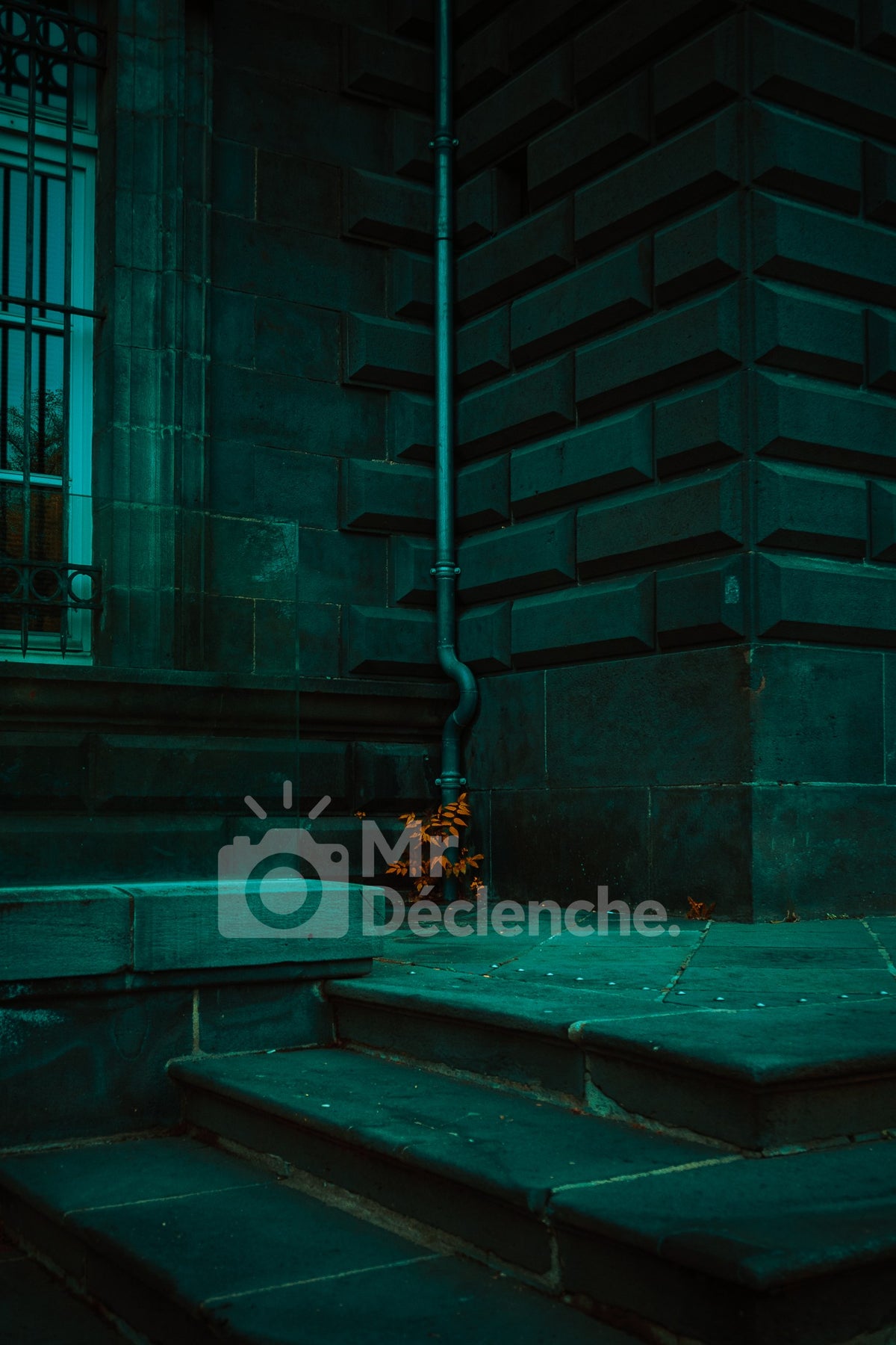 Les marches vertes – photographie MrDéclenche.