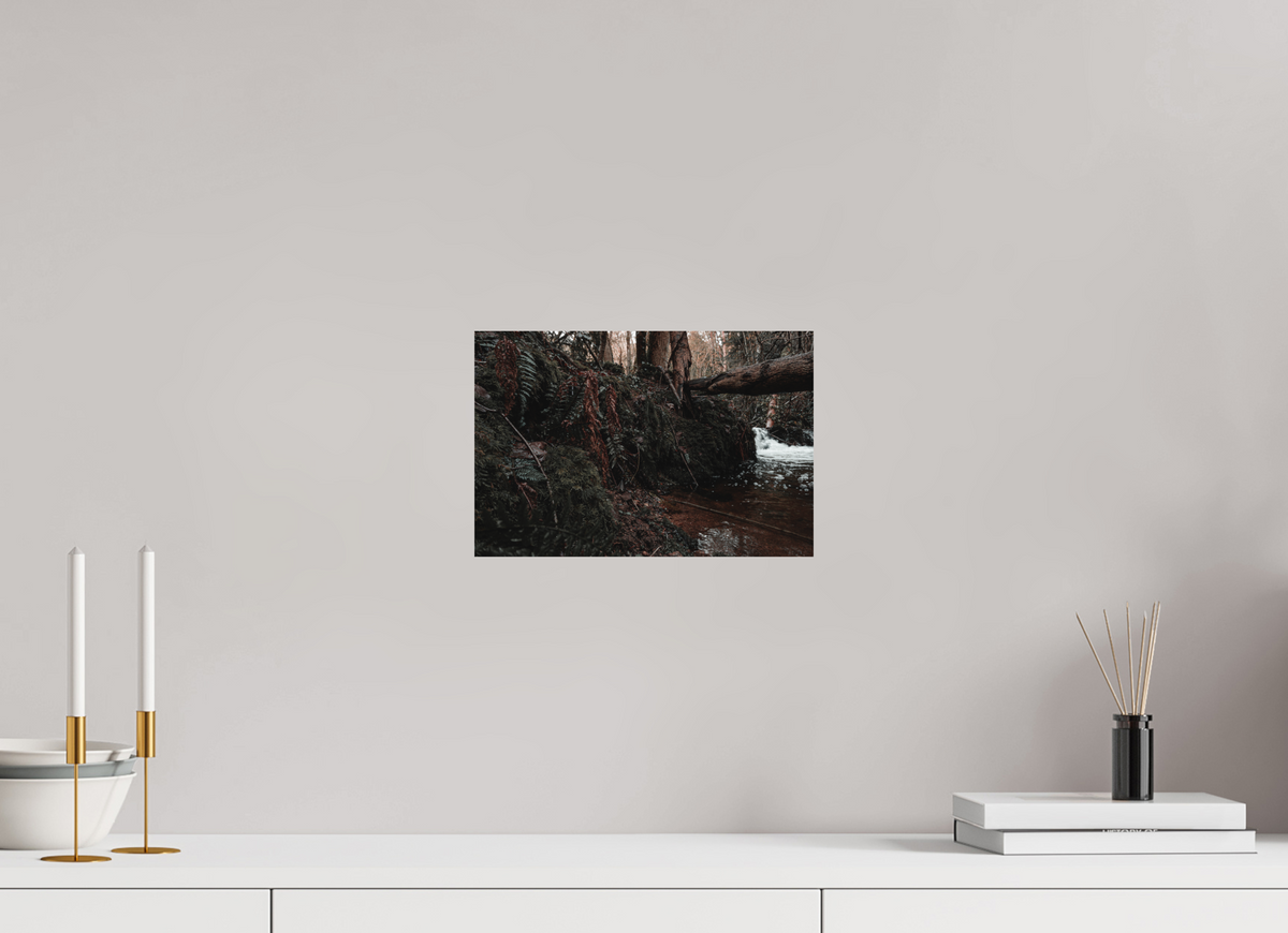 30 x 20 cm, Poster Fuji Crystal DP II mat La chute derrière la souche