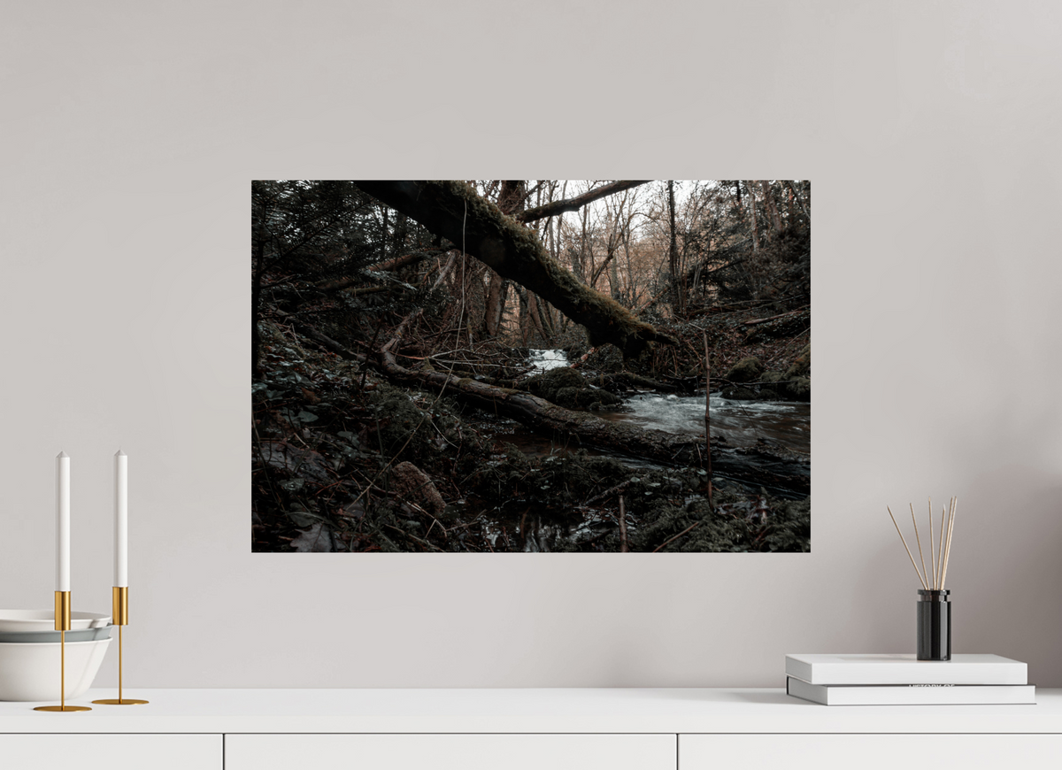 60 x 40 cm, Poster Fuji Crystal Pearl metallise Le tronc couché