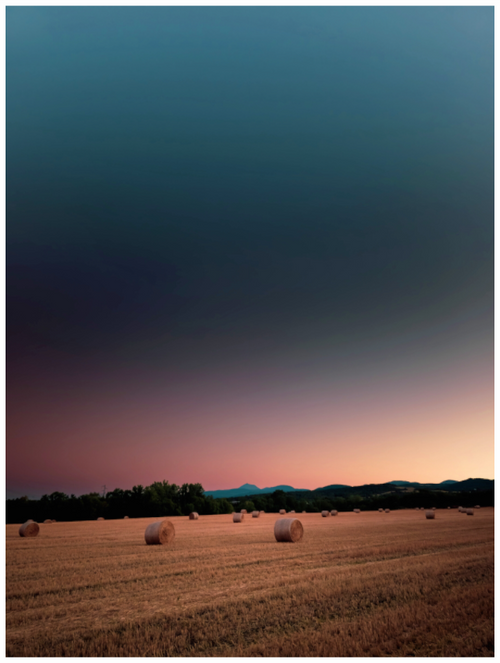 Prairies d'été près de Saint-Bonnet avec le puy de Dôme au loin – photographie d'art de Mr Déclenche