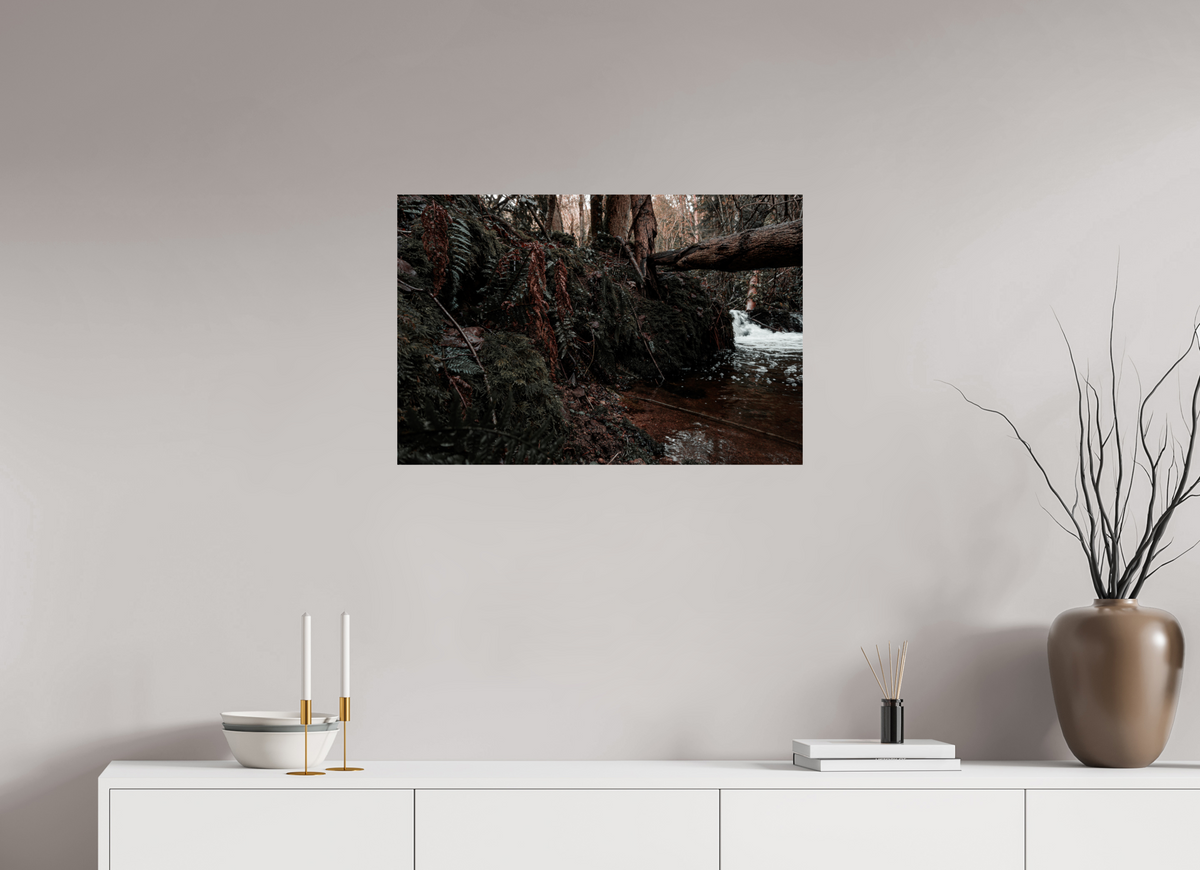 75 x 50 cm, Poster Fuji Crystal Pearl metallise La chute derrière la souche