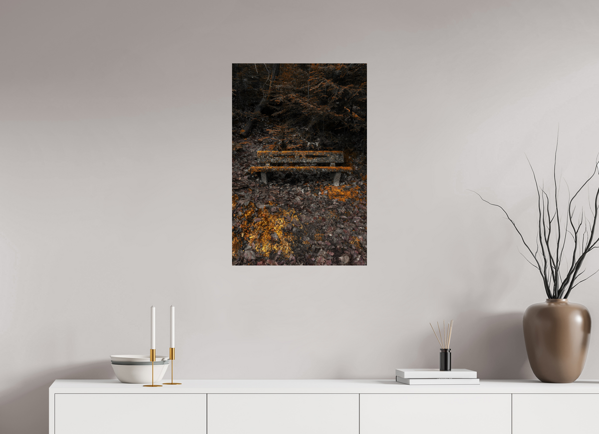 50 x 75 cm, Poster Fuji Crystal Pearl metallise Le banc moussu