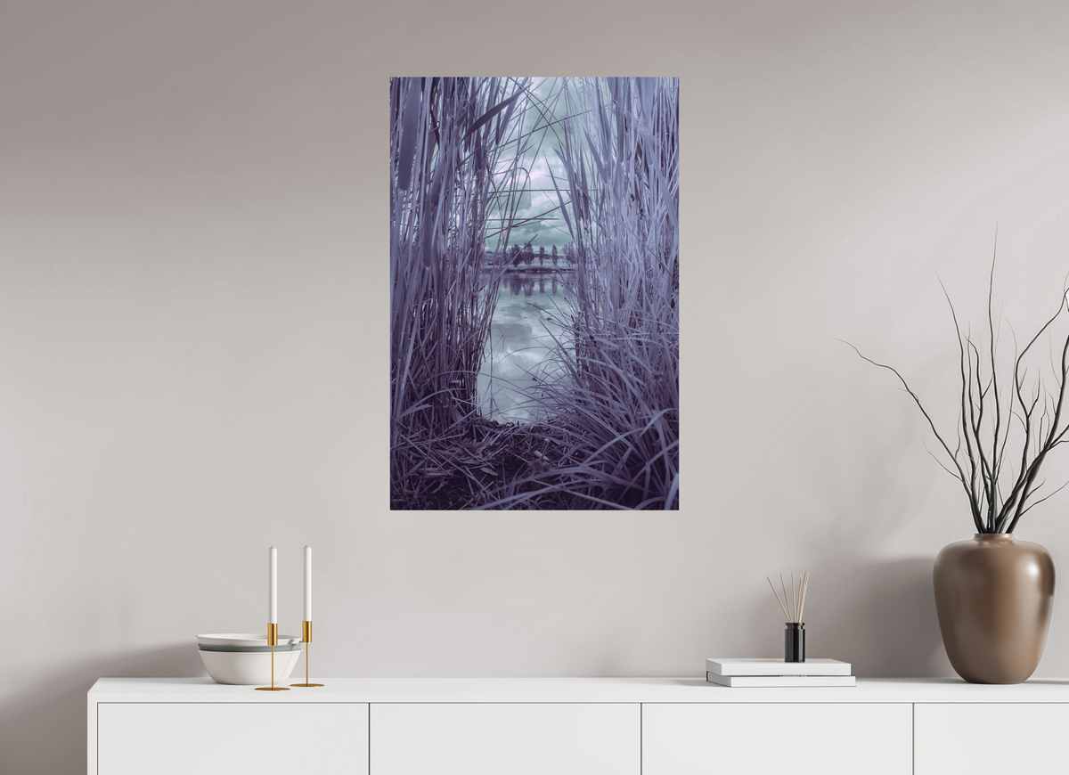 60 x 90 cm, Poster Fuji Crystal DP II mat Les roseaux violets