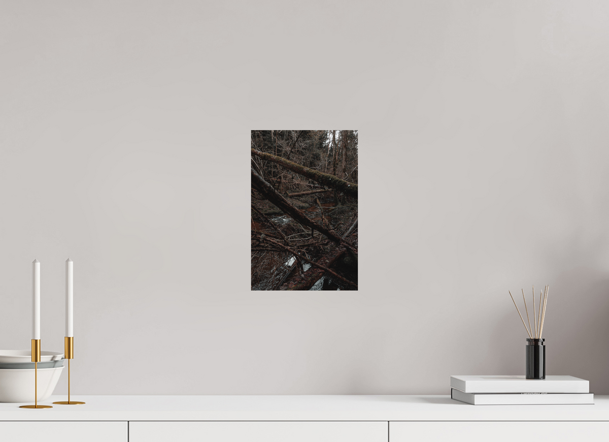 20 x 30 cm, Poster Fuji Crystal DP II mat L'enchevêtrement