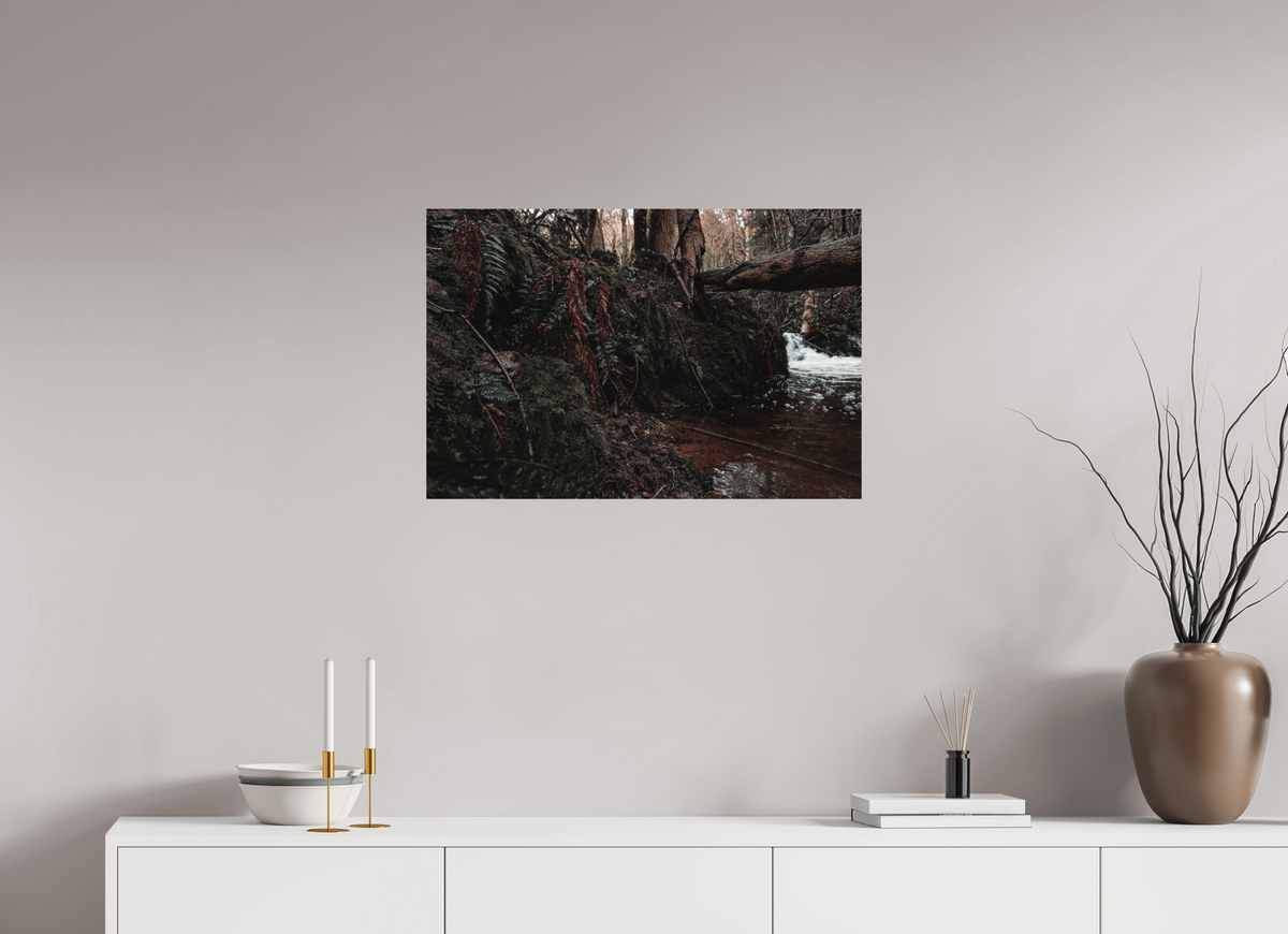 75 x 50 cm, Poster Fuji Crystal DP II mat La chute derrière la souche