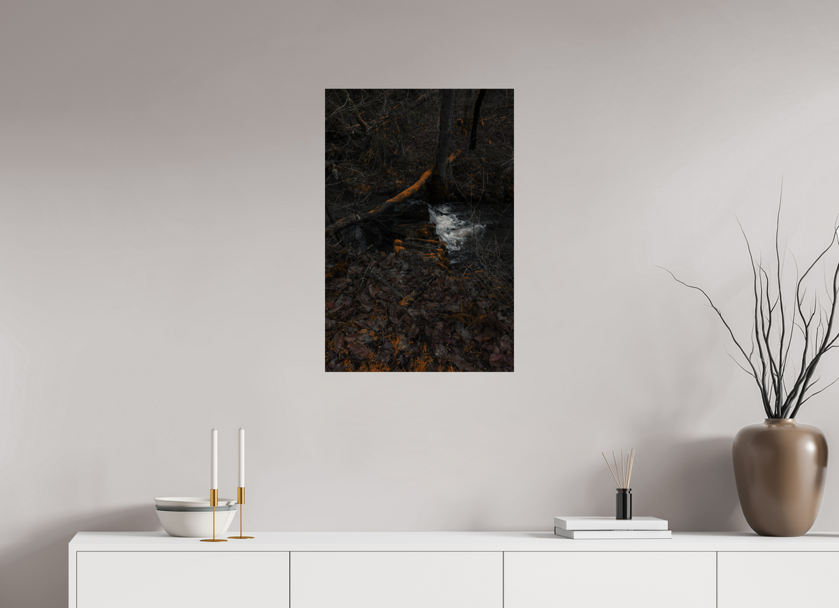 50 x 75 cm, Poster Fuji Crystal Pearl metallise La source sous les branches